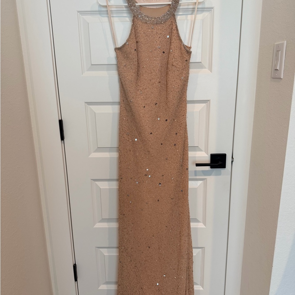 Adrianna Papell Tan Backless Gown with Silver Accents